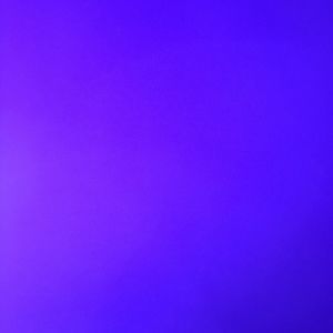 Meet your Posher, Samson